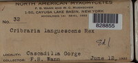 Image Associated With the Occurence